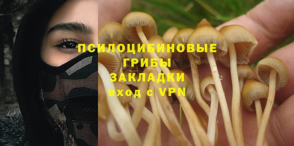 сатива Заводоуковск