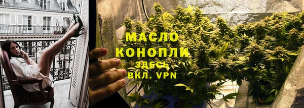 сатива Заводоуковск