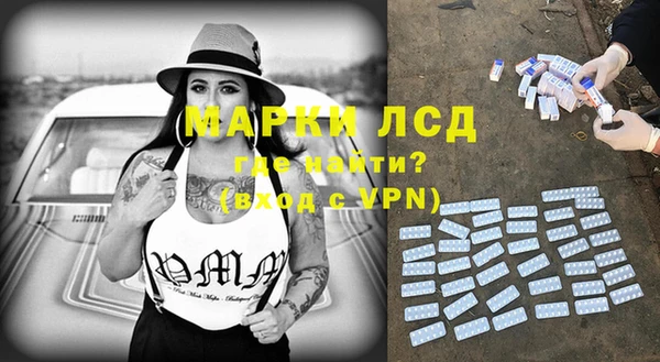 сатива Зеленокумск