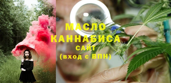 сатива Заводоуковск