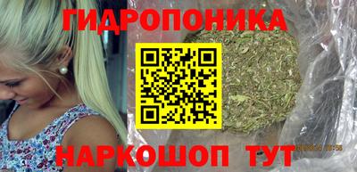 тгк Волгодонск