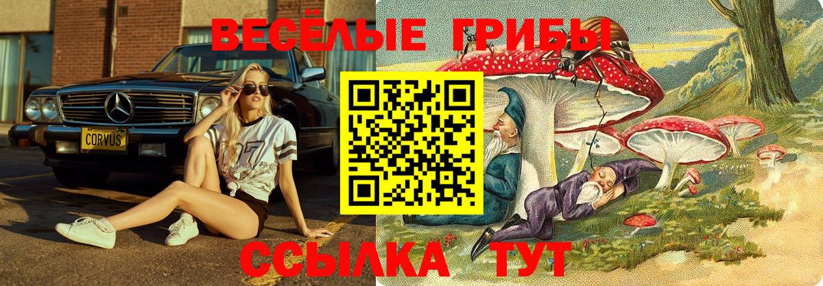 Ишим  Галлюциногенные грибы MAGIC MUSHROOMS  Вход с VPN 