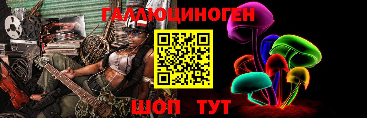 Галлюциногенные грибы Psilocybe Ишим
